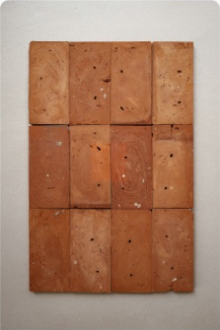 Red Terracotta Tiles & Brick Slips natural red-clay surfaces ceramic tile material sample HY-TF39-007